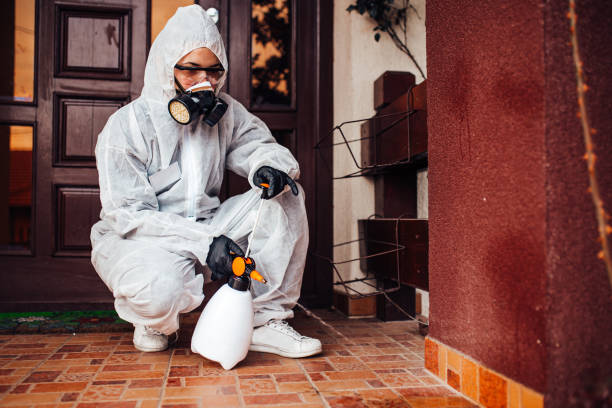 Reliable Cockroach Control contractor in Scottdale, PA by Nex Pest Control